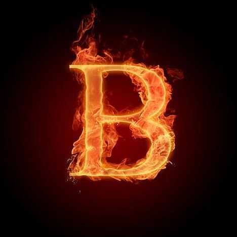 Bnist网络科技
