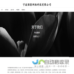 宁波绿影网络科技有限公司