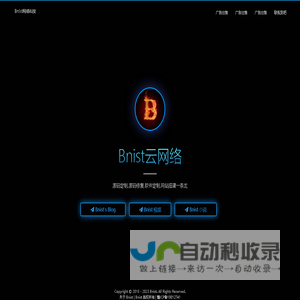 Bnist网络科技